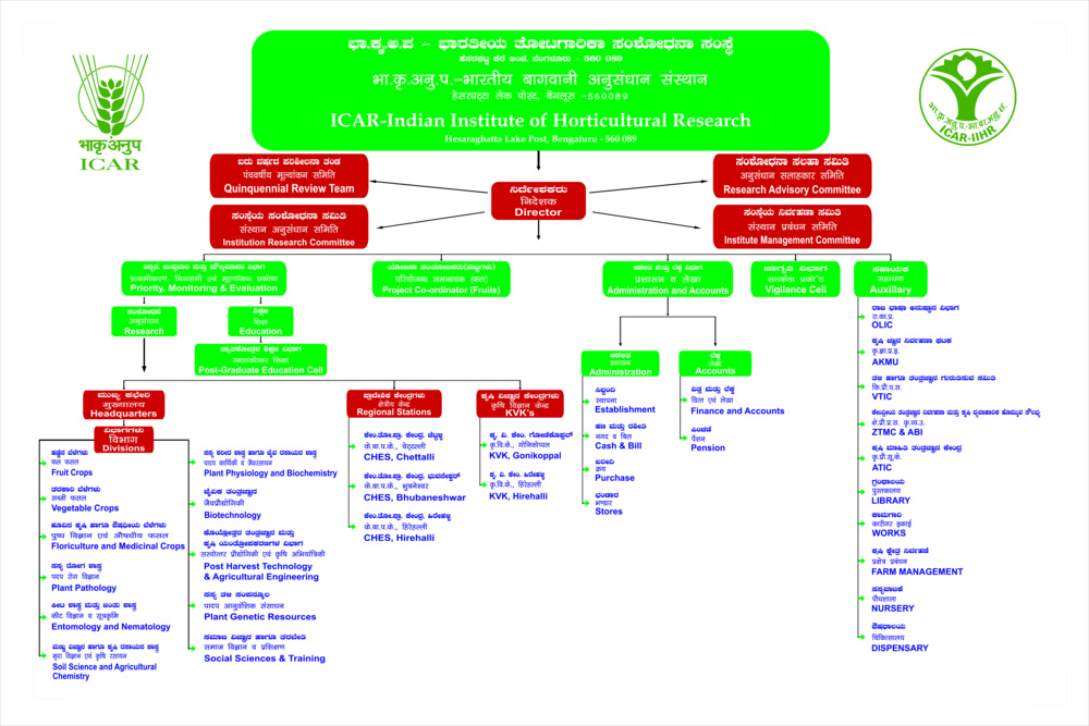 organogram