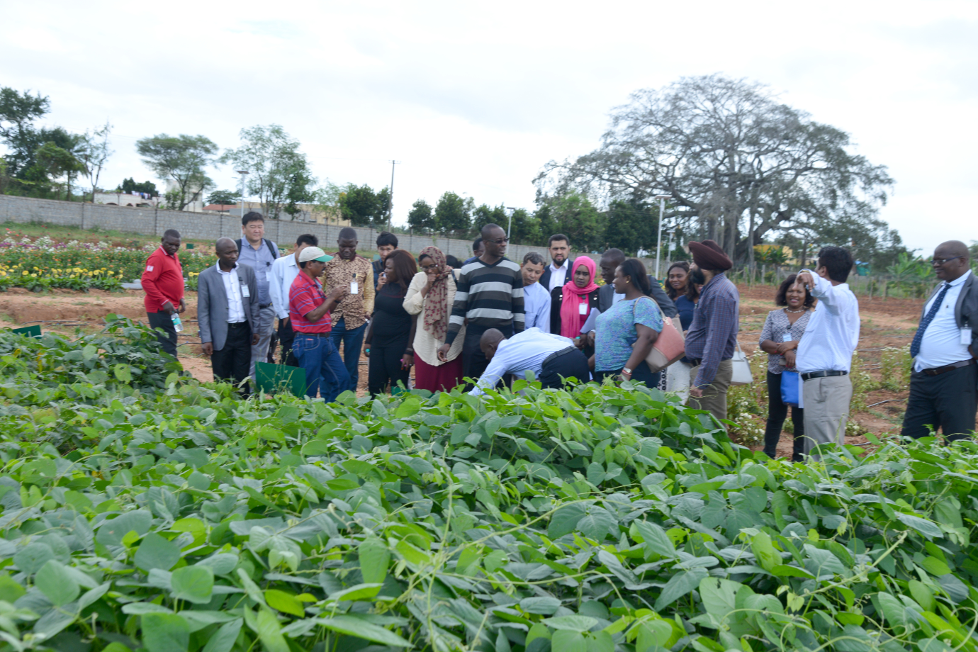 International Training Program on Post Harvest Technology in Horticulture