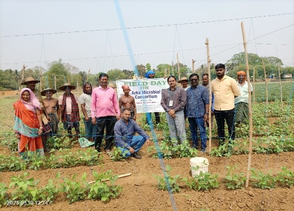 Central Horticultural Experiment Station, ICAR-IIHR, Bhubaneswar organized field day on “Arka Microbial Consortium” at Dhenkanal district of  Odisha
