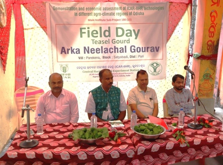 Field day on “Arka Neelachal Gourav” high yielding Teasel Gourd variety in Puri, Odisha